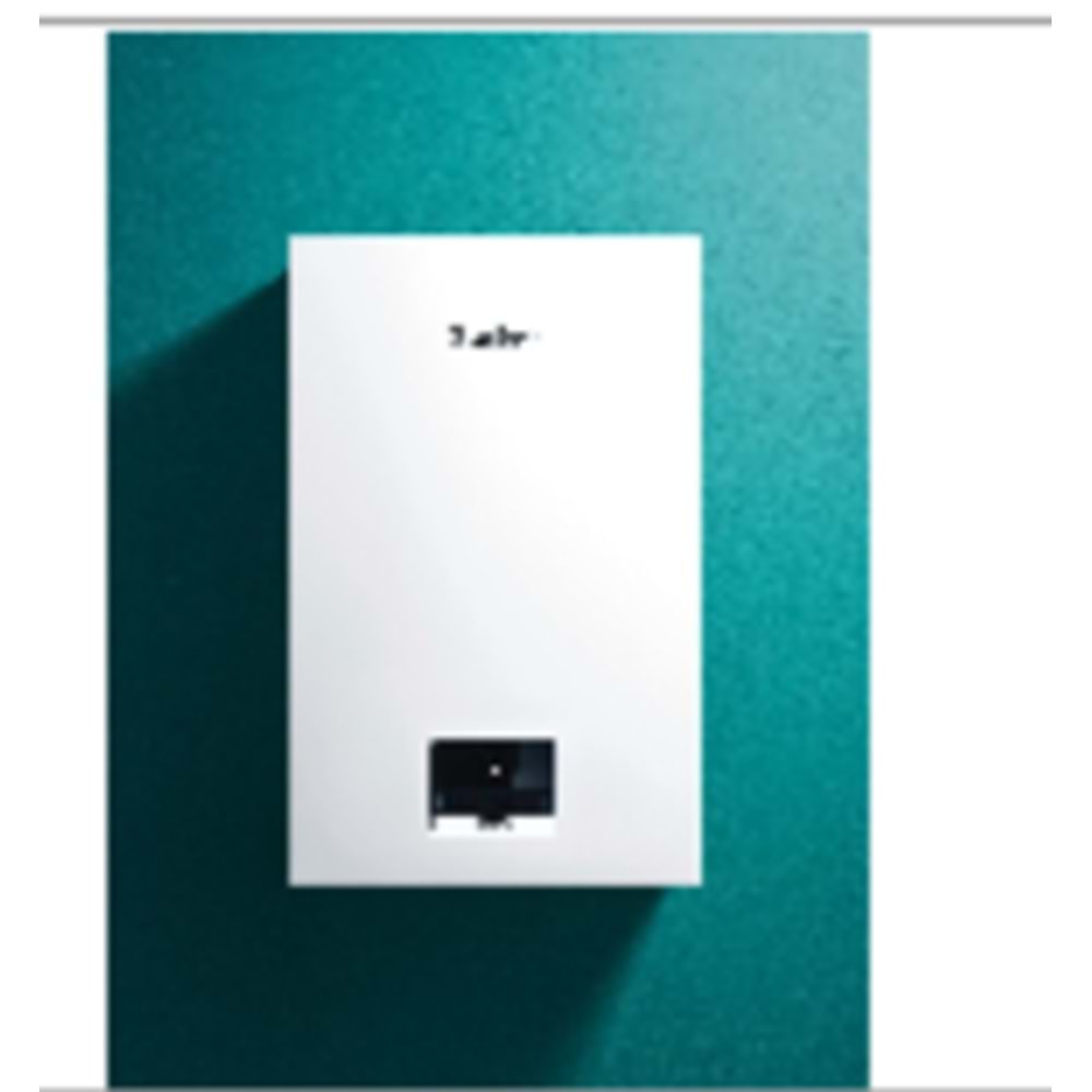 Vaillant Ecotec İntro 24/24 Kombi