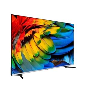 Regal 55R66QA11 55 139 Ekran QLED Android TV